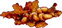 fall_acorns