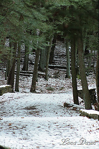 [OMC_UpperTrail2_Dec11[8].jpg]