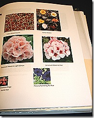 GardenJournal_SeedPictures