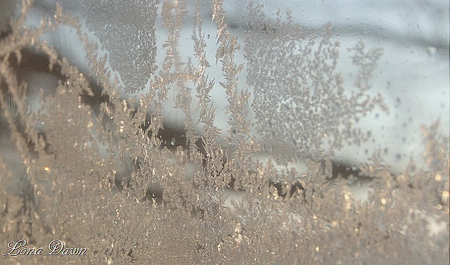 [Frozen_Tenicles[9].jpg]