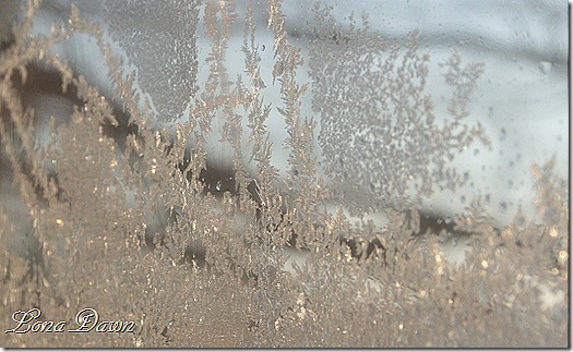 Frozen_Tenicles