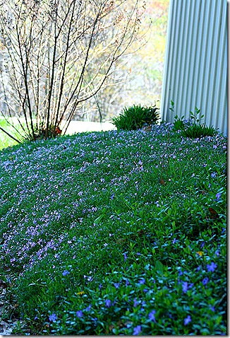 GarageBank_Phlox