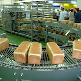 Gardenia 6k Factory