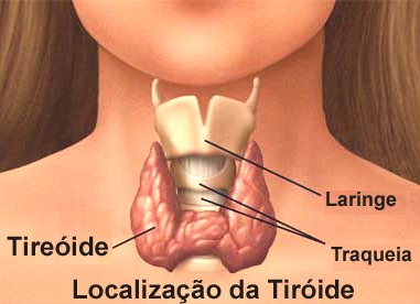 [Tiroide[1].jpg]