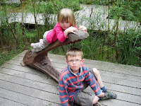 Greenwood Country Park, Snowdonia