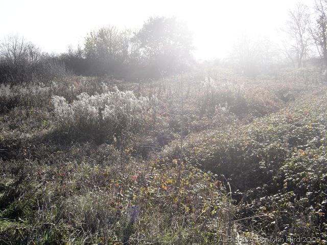 [Salburua Nov 2009 017[6].jpg]