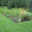 DSCN0504 (Small).jpg DSCN0504 (Small).jpg