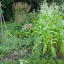 DSCN0511 (Small).jpg DSCN0511 (Small).jpg