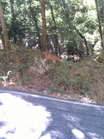 IMG_20100815_134741.jpg
