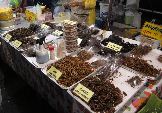 Insect Vendor