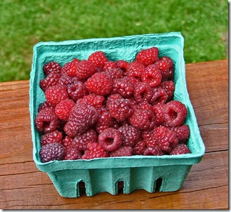 rasberry basket rasberry basket