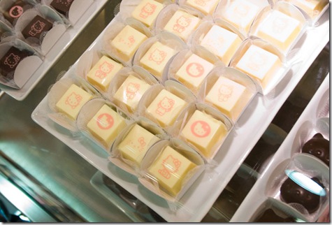 IMG_5448-1 cópia