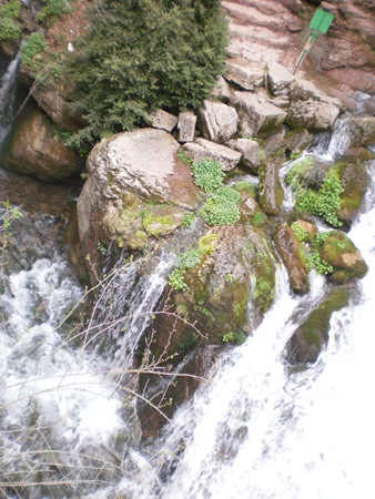 P4220054 P4220054