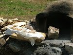 DSCF6328mini.jpg