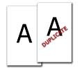 [duplicate[2].jpg]