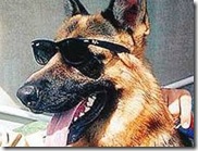 animali ereditieri