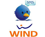 Twitter sms 