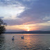Schwäne  auf Tollensesee Neubrandenburg