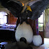 Schlafzimmer mit Vogel