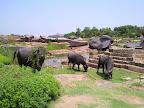 Hampi