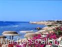 [vacanze in Mar Rosso[8].jpg]