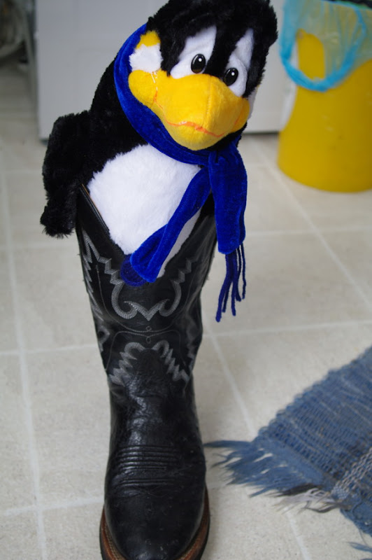 New%20Boots.JPG