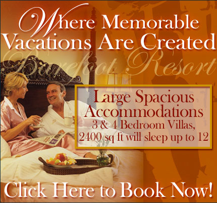 Check for Availability and Pricing