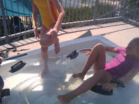 2010-06-22 14_17_38.jpg