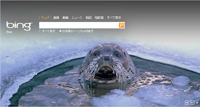 Bing - 冬に関する写真