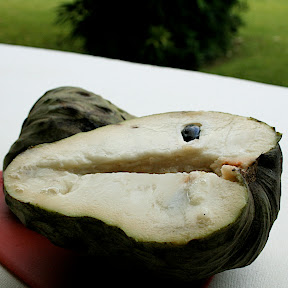 pomme cannelle