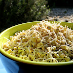 Sprouted buckwheat