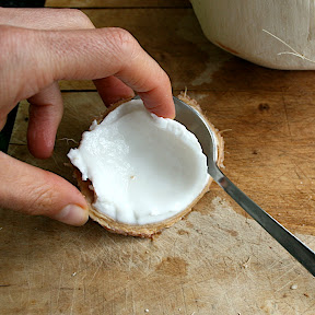 pulpe