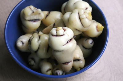 Mashua (capucines tubéreuses)
