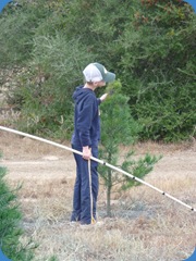 Tanner's tree preference