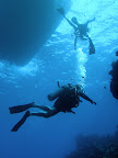  underwater
