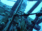  underwater