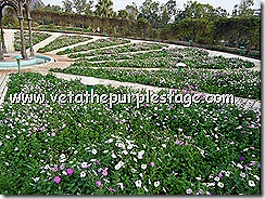 garden at ramoji film city
