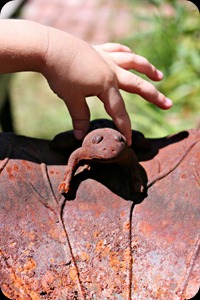 web sizerusty frog