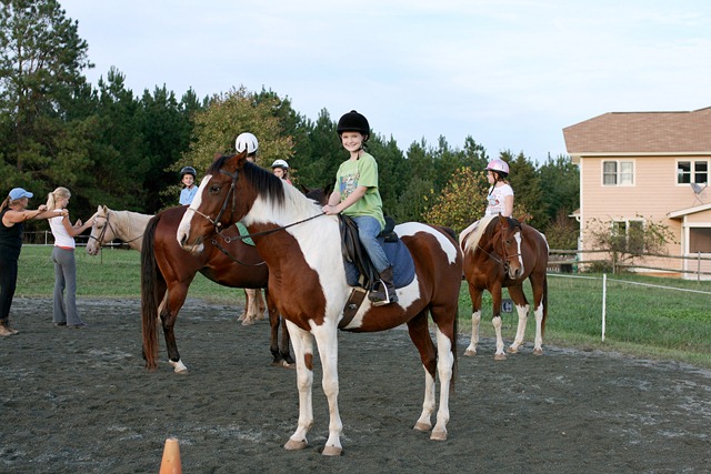 [Horseback riding lesson 1[3].jpg]