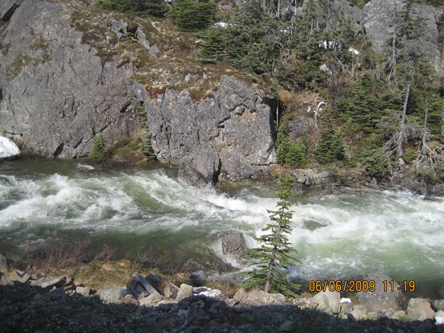 [IMG_08312.jpg]