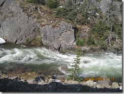 IMG_0831