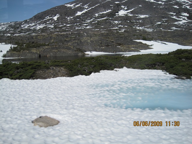 [IMG_08352.jpg]