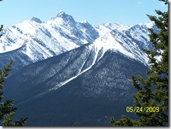 Blog terst-3