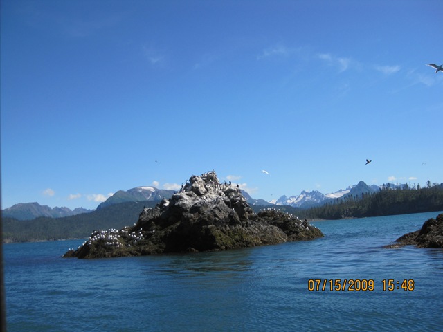 [IMG_13172.jpg]