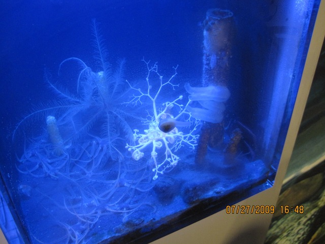 [IMG_13852.jpg]