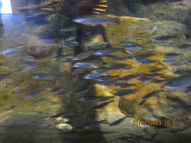 [IMG_13862.jpg]