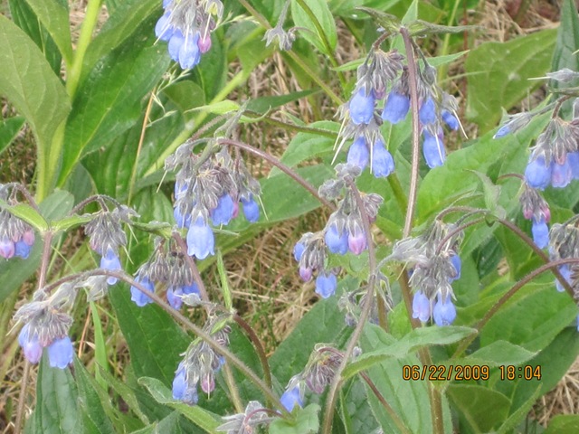 [IMG_11612.jpg]