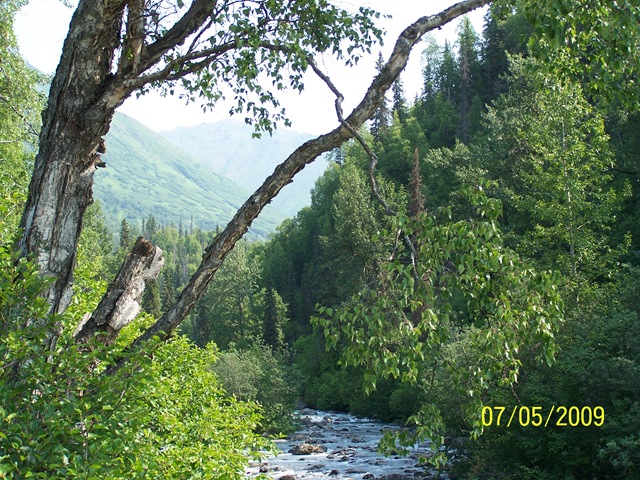 [100_50722.jpg]