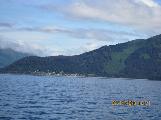 [IMG_12962.jpg]