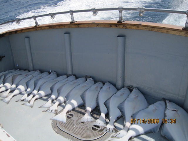 [IMG_12972.jpg]